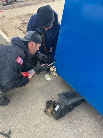 La mascota fue trasladada a