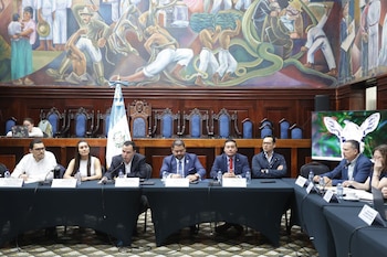Varias personas sentadas tras una mesa con micrófonos y la bandera de Guatemala frente a un mural y una pantalla con un ternero