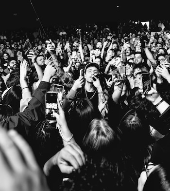 Cardellino prefiere los conciertos pequeños.