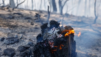 Un incendio en Navarcles (Barcelona) obliga a confinar a unas 360 personas