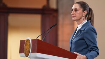 Sheinbaum descarta vigilancia especial para