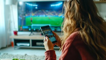 Para una mejor experiencia es