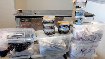 El resguardo se realizó tras