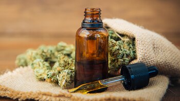 Aceite de cannabis (Shutterstock)