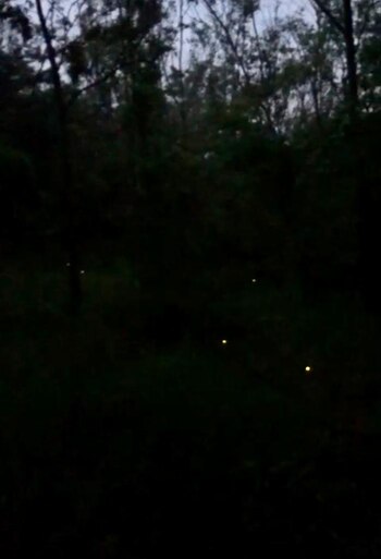 El Proyecto de Monitoreo ayuda