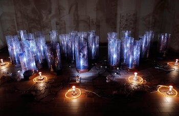 Una amplia retrospectiva muestra, por