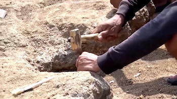 Descubren herramientas hechas con piedras hace más de un millón de años