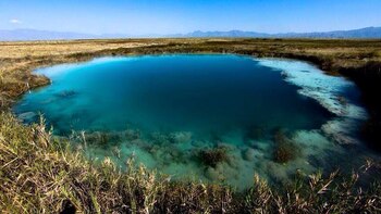 Un oasis en medio del