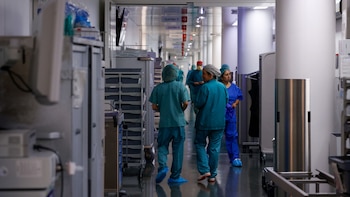 Científicos españoles crean un anticuerpo