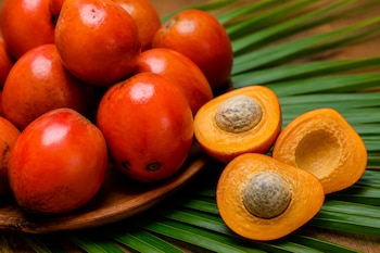 Frutos de color naranja enteros y cortados por la mitad sobre un plato de madera y hojas de palmera.