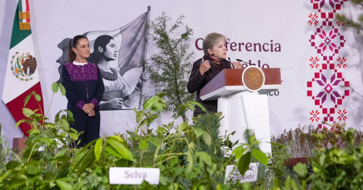 Seis millones de árboles en un solo domingo: el reto que convoca a 235 mil personas