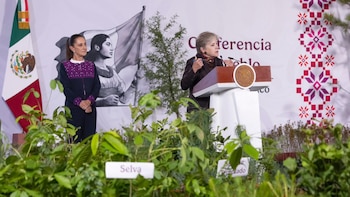 Estas son las especies que plantará el Gobierno durante la Primera Jornada Nacional de Reforestación: 12% de la biodiversidad está en México