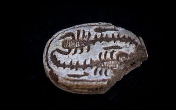 Dos escorpiones grabados en el