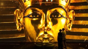 Lllegará a la CDMX la