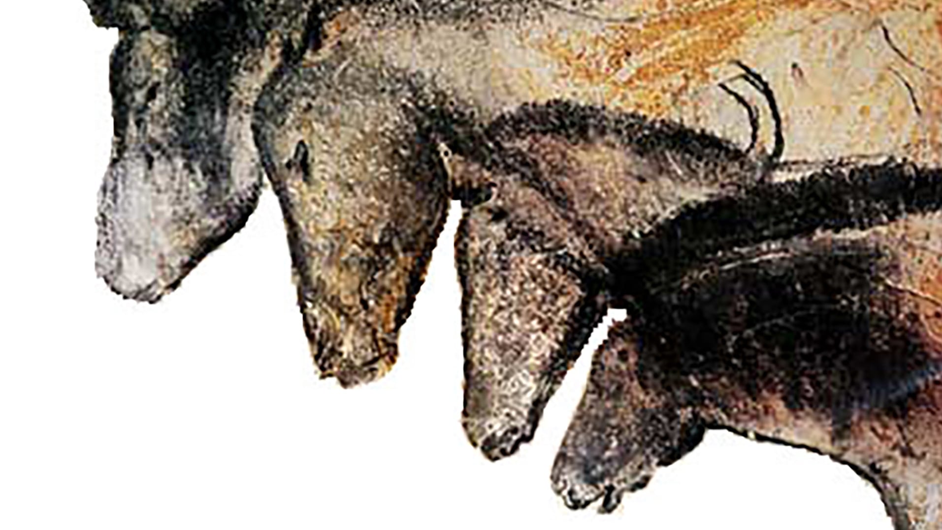 Científicos descubren que un barniz de calcita preservó las pinturas prehistóricas de la cueva de Chauvet