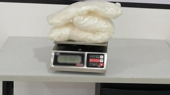 Binomios caninos de la GN