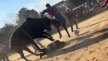 Graves lesiones y caos en rodeo mexicano sin permiso en el Bronx, un jinete hospitalizado y sin asistencia médica en el lugar