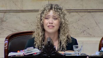 El llanto de Lourdes Arrieta en el debate de Ficha Limpia en Diputados
