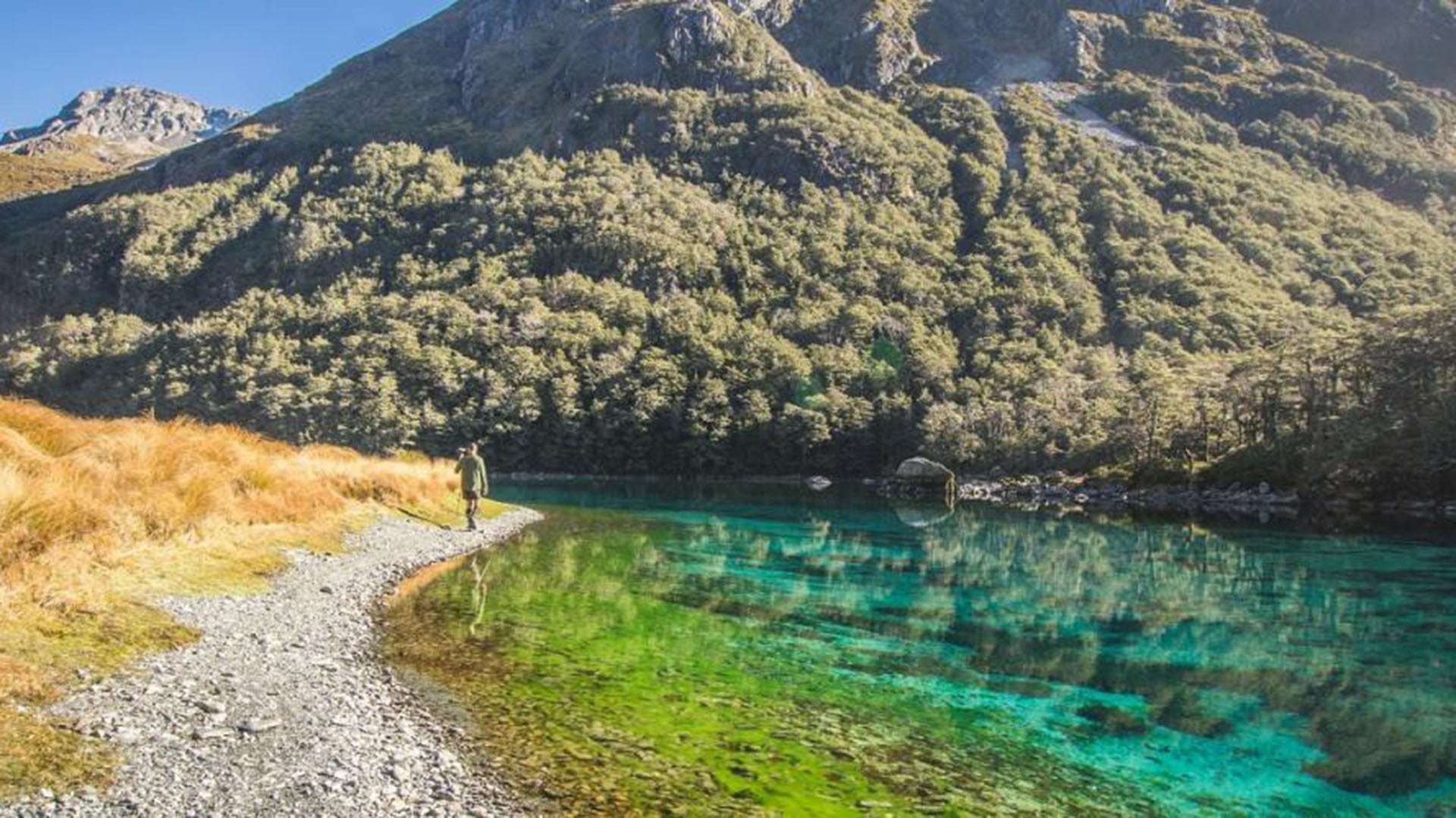 Vista del Lago Nahuel Huapi