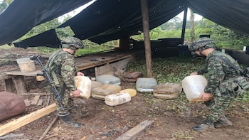 Ejército desmanteló 13 laboratorios de