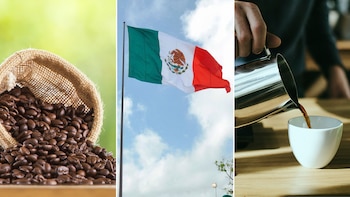 El café brinda múltiples beneficios