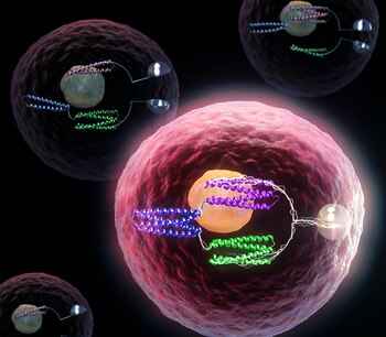 David Baker, diseñador de Rosetta,