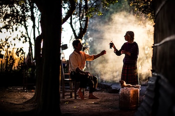 Además del avistar la fauna