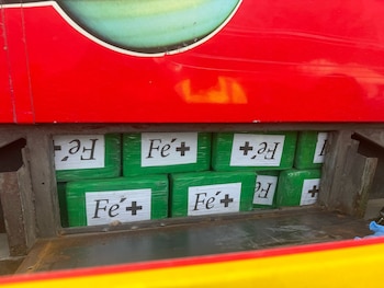 Los paquetes de cocaína incautados