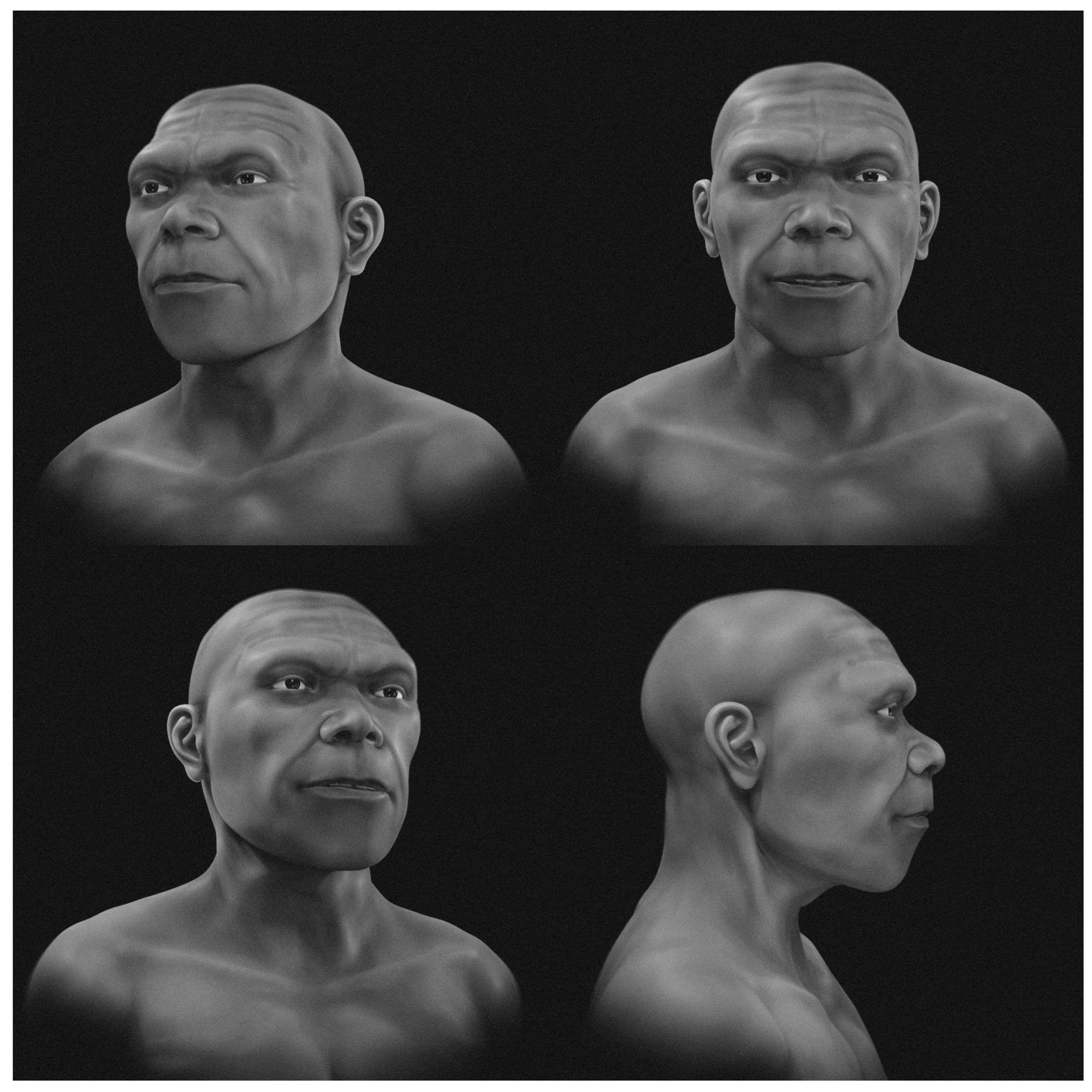 La reconstrucción facial se realizó sobre un cráneo digital compuesto por fragmentos óseos de varios individuos del mismo yacimiento. (Moraes et al., 2026)