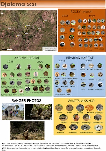 Infografía con un mapa de cámaras, listas de especies animales por hábitat, fotografías de guardabosques y texto explicativo en inglés