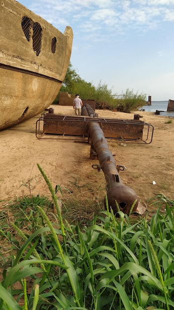 El Gringo en su reencuentro