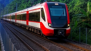 Un tren moderno blanco, rojo y negro en doble vía férrea. Una cerca gris a la izquierda y abundante vegetación verde a la derecha