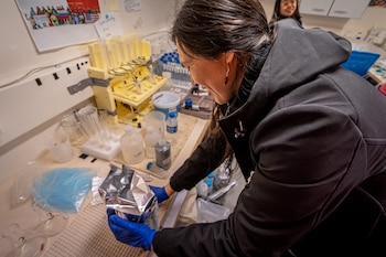 Mujer con chaqueta negra y guantes azules sujeta un paquete plateado. Sobre la mesa hay tubos de ensayo, matraces y botellas de laboratorio