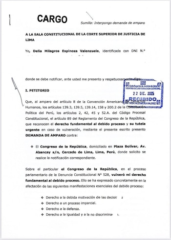 Delia Espinoza presentó una demanda