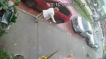 Con una fractura y sin teléfono: denuncian que una adulta mayor fue agredida por un hombre frente a una florería en el norte de Bogotá
