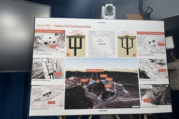Imagen de la planta de