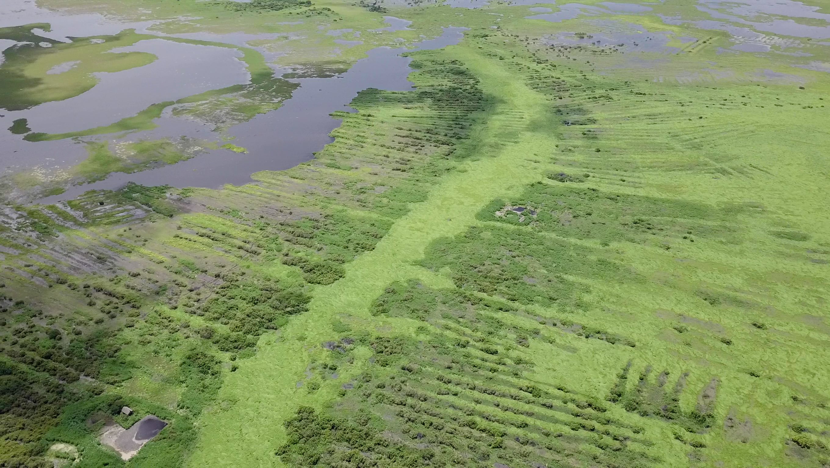 Los canales y campos elevados de La Mojana durante la temporada de lluvias - crédito Nicolás Jiménez/ICANH