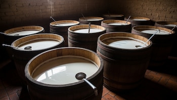 Industriales prevén mayor dinamismo económico con el fin de las restricciones a la leche en polvo en El Salvador