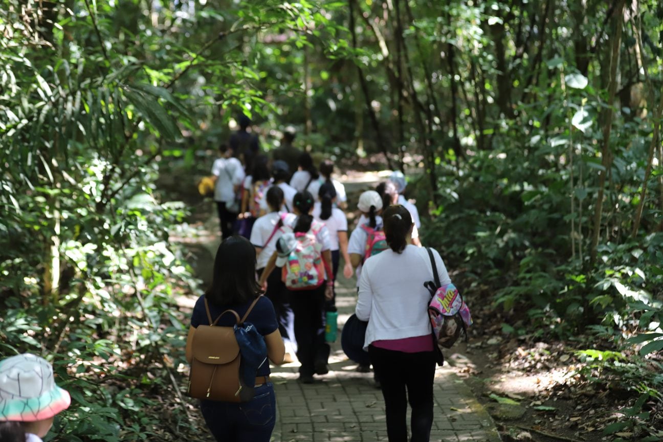 El Parque Nacional Soberanía, próximo a la capital, ofrece senderos rodeados de bosques tropicales y es reconocido internacionalmente por la observación de aves. Tomada de MiAmbiente