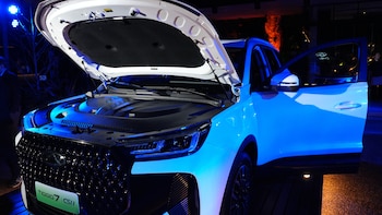 Chery para uso de Inhouse