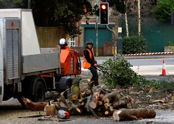 Trabajadores despejan una calle durante