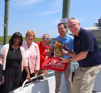 Liberación de la langosta Lorenzo