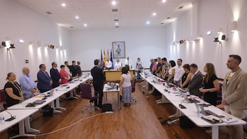 El pleno de Guadalajara aprueba pedir más capacidad eléctrica para el desarrollo de la ciudad