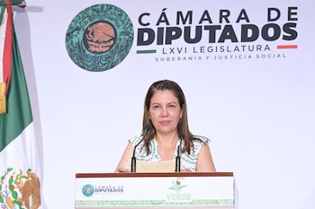 La diputada Cindy Winkler Trujillo (PVEM) presentó una iniciativa que reforma el artículo 30 de la Ley General de Educación. (Foto: Cámara de Diputados)