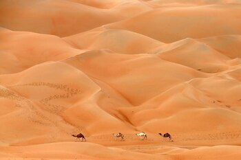 Investigadores de la Universidad de