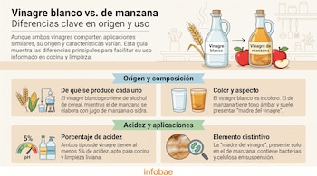 Infografía comparativa de vinagre blanco y de manzana, con botellas, trigo, maíz, manzanas, vasos, medidor de pH, lupa con bacterias y logo Infobae.