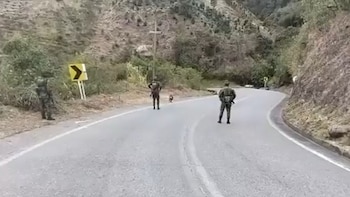 Ejército atribuyó al ELN la instalación del explosivo hallado en Nariño: esto se sabe