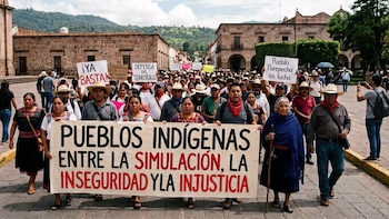 Comunidades indígenas de Michoacán acusan que para el gobierno “es más importante la venta de aguacate” que su seguridad
