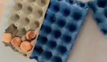 Roedores, insectos y comidas en