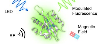 El estudio de la Universidad